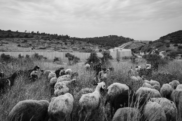 ‘The Other Territory’ from This American Life